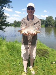 Common Carp