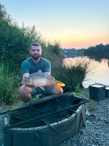 Mirror Carp