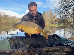 Mirror Carp