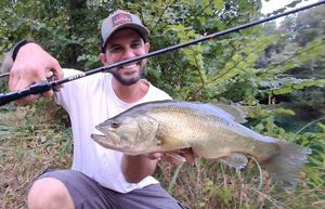 Largemouth Bass
