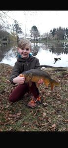 Common Carp
