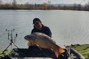 Mirror Carp