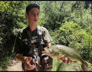 Largemouth Bass
