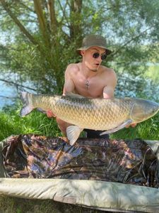 Grass Carp