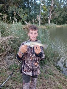 Largemouth Bass