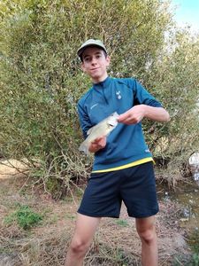Largemouth Bass