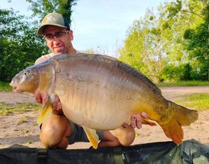 Mirror Carp