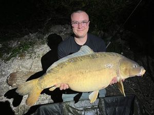 Mirror Carp