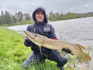 Northern Pike