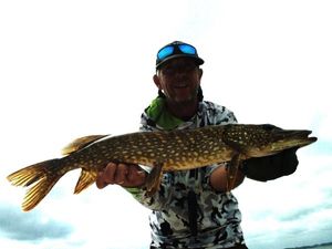 Northern Pike