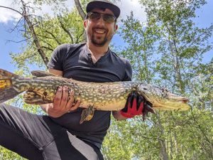 Northern Pike