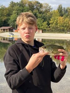 Largemouth Bass