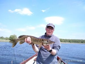 Northern Pike