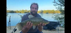 Tench