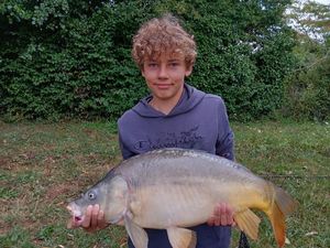 Mirror Carp