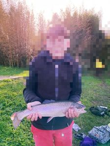 Rainbow Trout