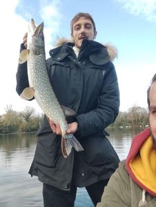 Northern Pike