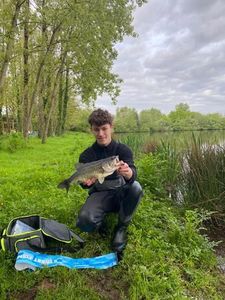Largemouth Bass