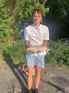 Crucian Carp