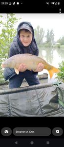 Mirror Carp