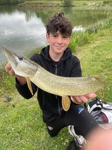 Northern Pike