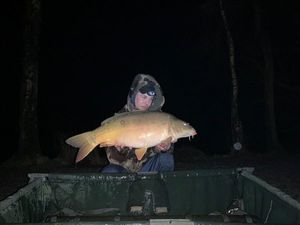 Mirror Carp