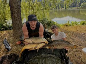 Common Carp