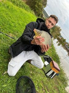 Common Carp