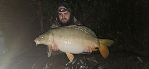 Mirror Carp