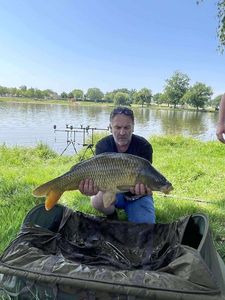 Common Carp
