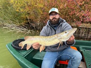 Northern Pike