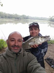 Zander
