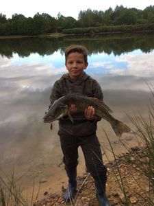 Zander