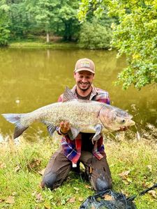 Silver Carp