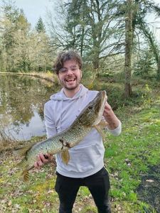 Northern Pike