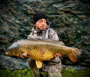Common Carp