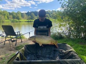 Common Carp