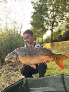 Leather Carp