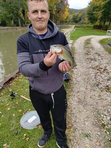 Largemouth Bass