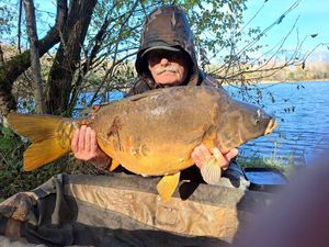 Mirror Carp