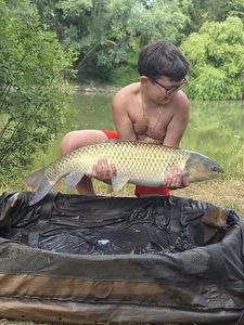 Grass Carp