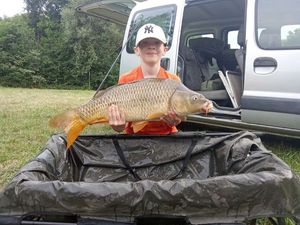 Mirror Carp