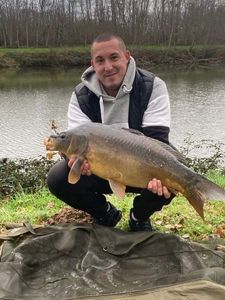 Mirror Carp