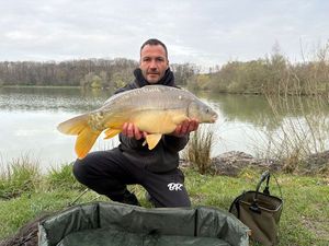 Mirror Carp
