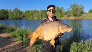Mirror Carp