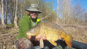 Mirror Carp