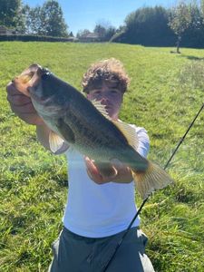 Largemouth Bass