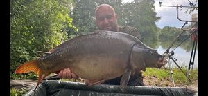 Mirror Carp