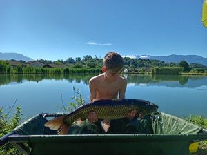 Grass Carp