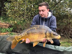 Mirror Carp
